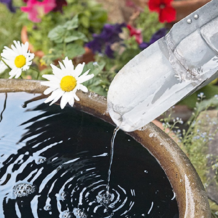 Gartenbewässerung und Regenwassernutzung
