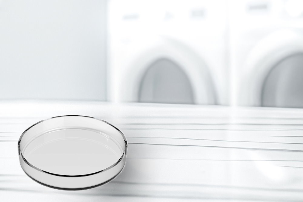Leere Petrischale