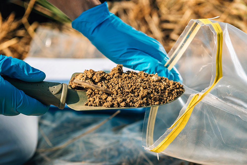 Handschuhe halten Spaten mit Erde und Tüte