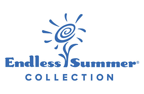 Endless Summer Collection