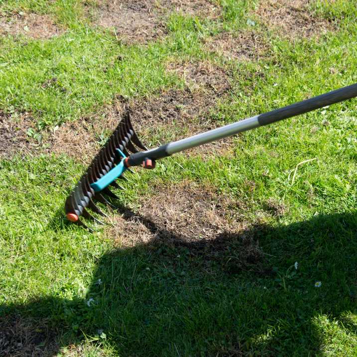 Rasen reparieren
