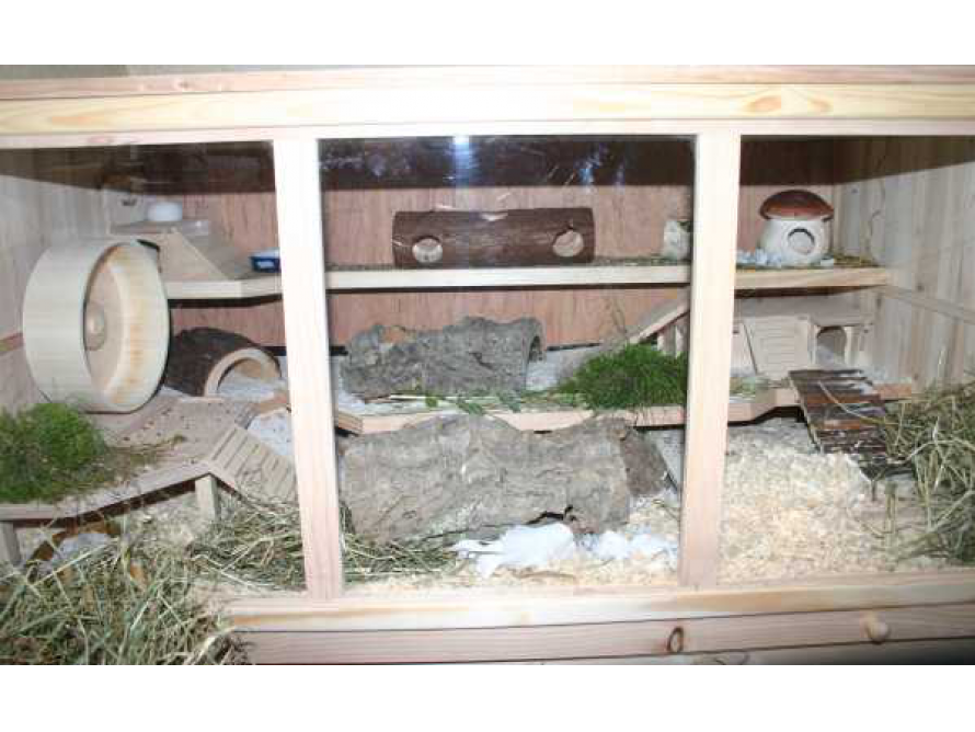 Geräumiger Nagerkäfig aus Holz