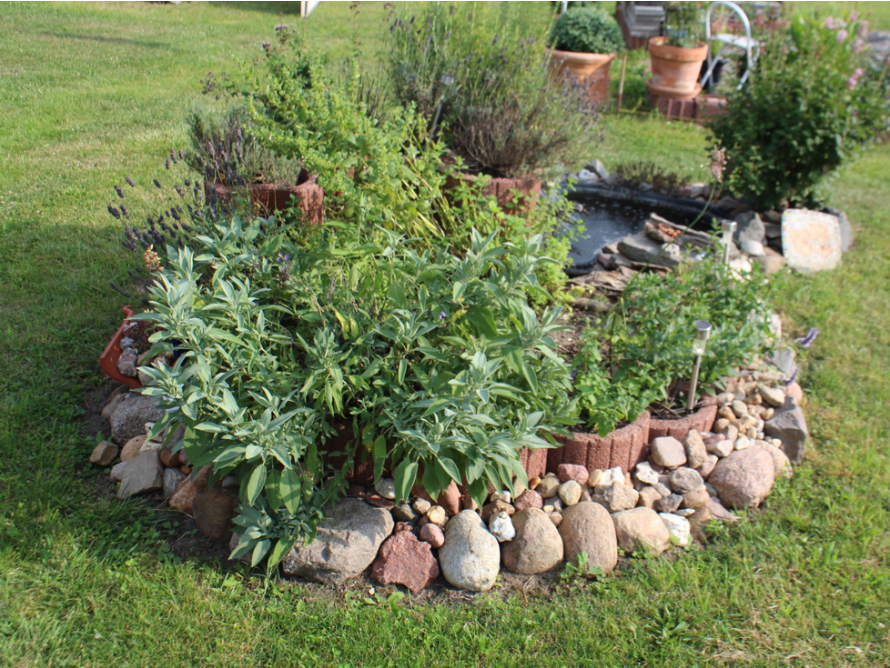 Kräuterbeet mit Steinen eingefasst