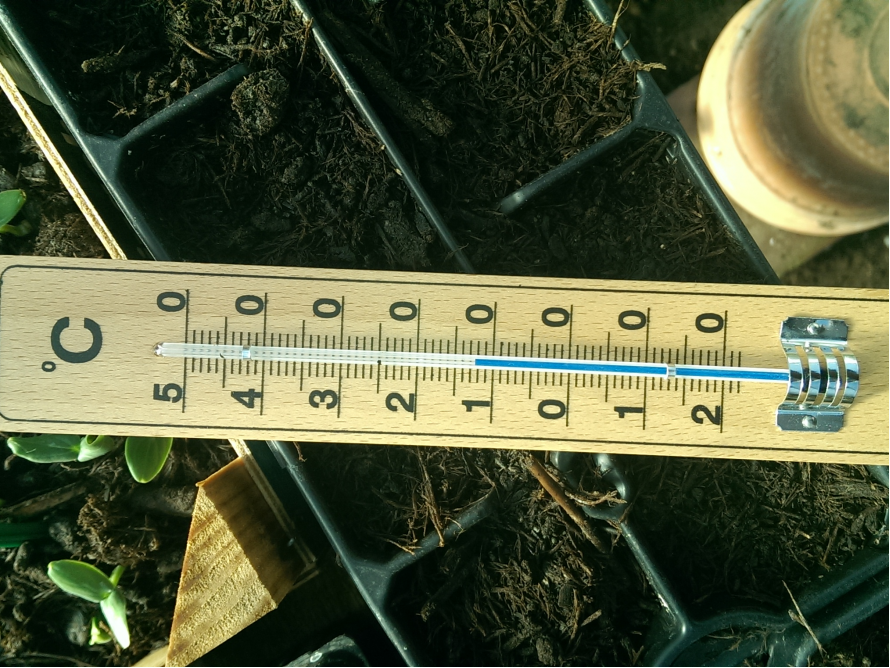 Thermometer zeigt 1 Grad Celsius