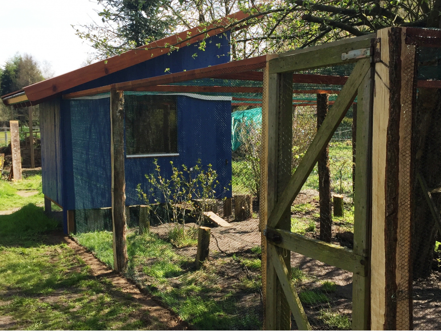 Blaues Gartenhaus mit Auslauf