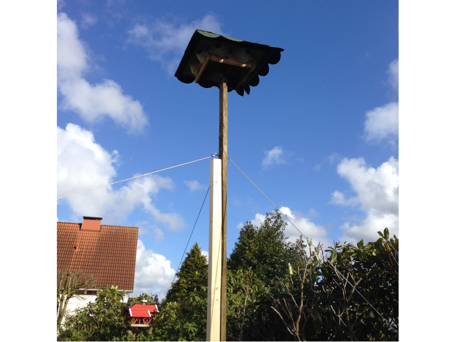 Ein Vogelhaus auf einem hohen Holzpfosten