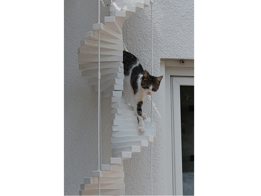 Katze auf weißem Wendeltreppen-Regal