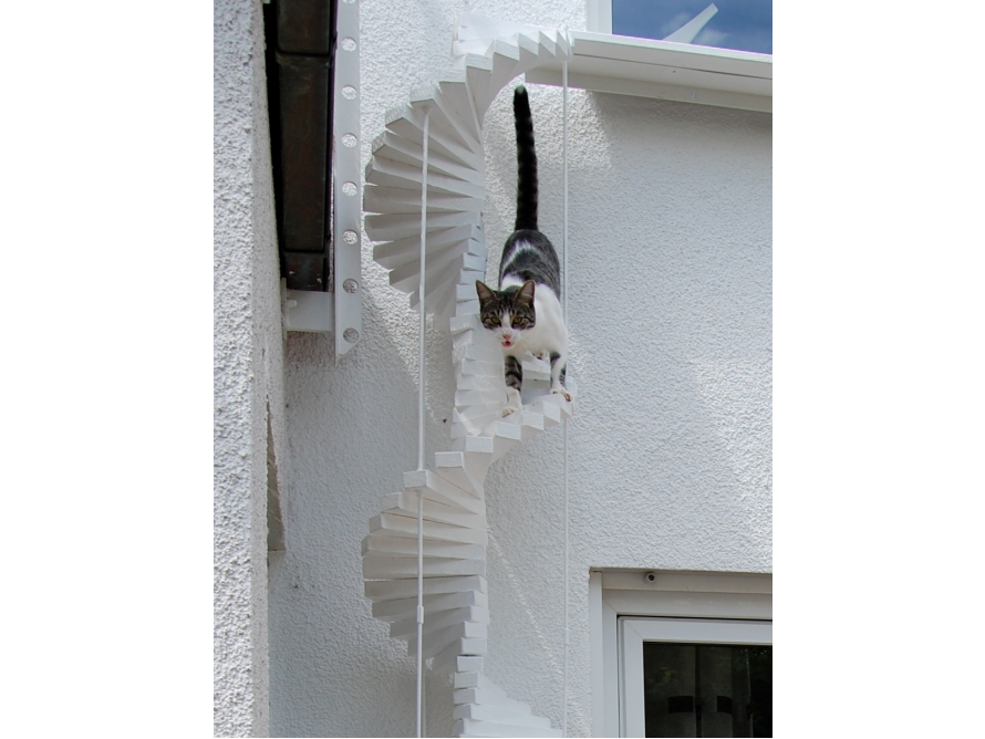 Katze auf Wendeltreppe an Hauswand