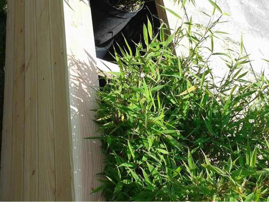 Hölzernes Gartenbeet mit Bambus