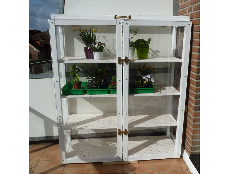 Kleines Gewächshaus mit Blumen