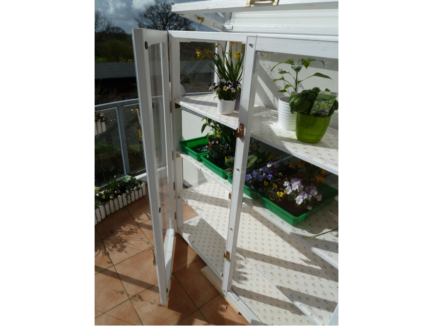 Gewächshaus mit Pflanzen im Regal