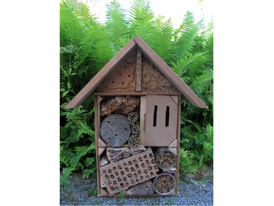 Insektenhotel vor Farnen