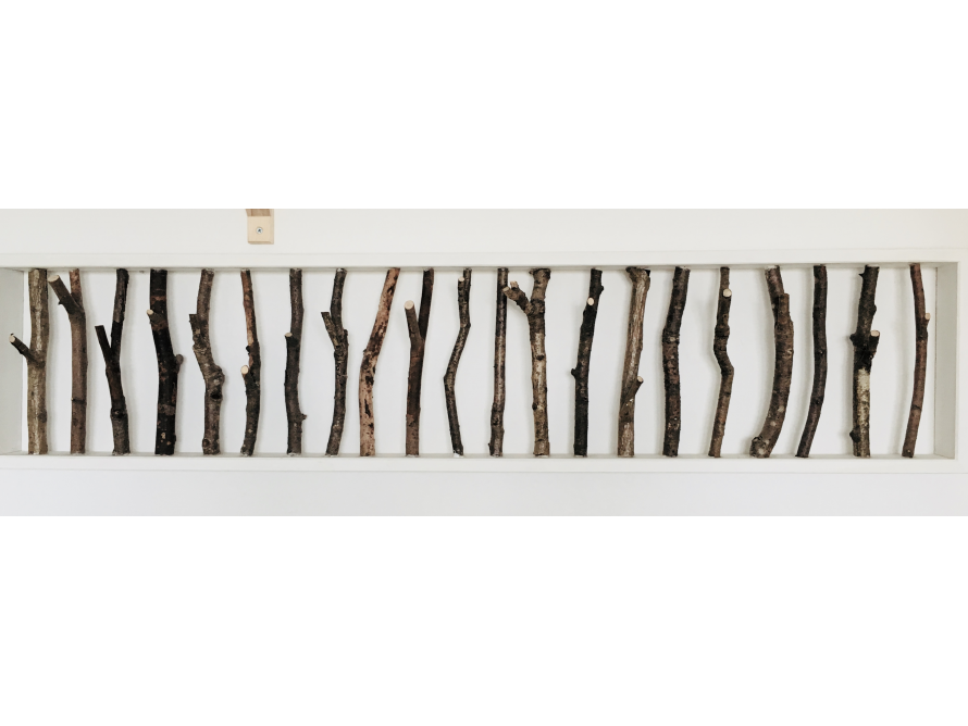 Reihe von Ästen in einem Regal