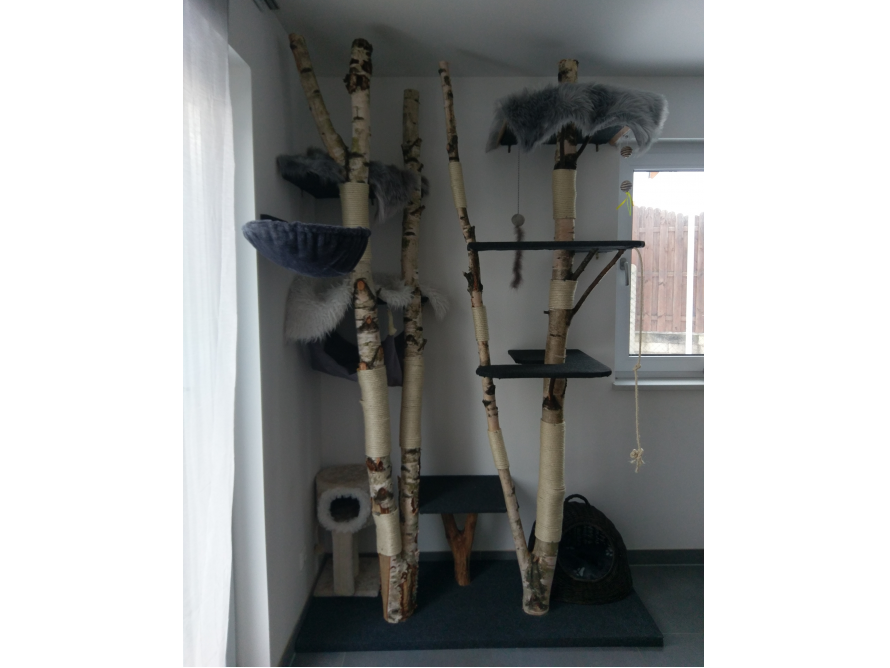 Natur-Kratzbaum Birke