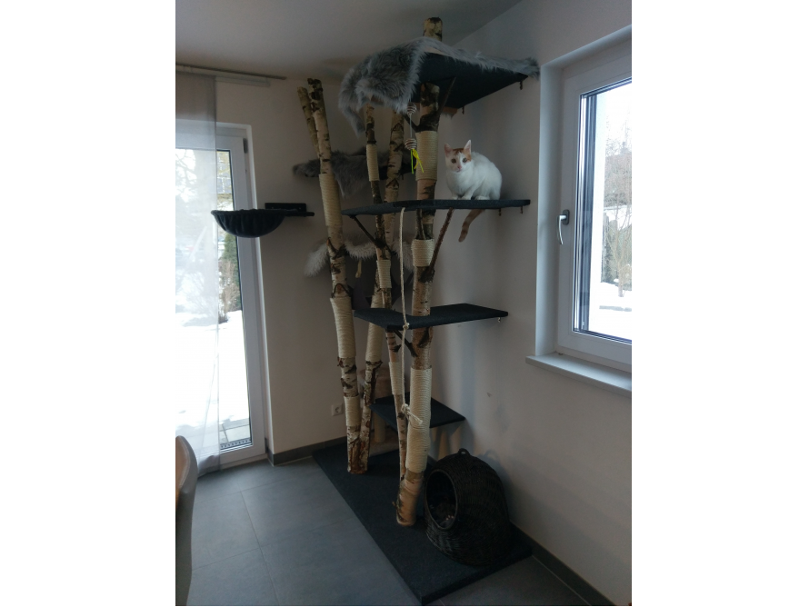 Natur-Kratzbaum Birke