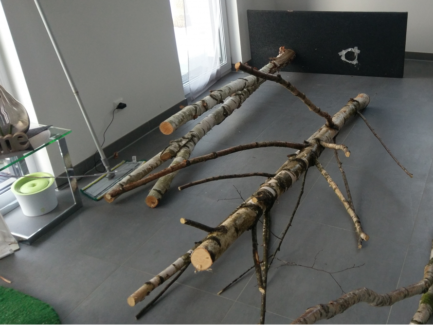 Natur-Kratzbaum Birke