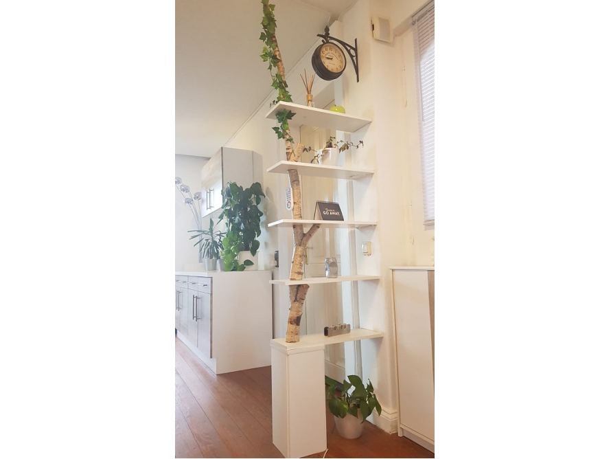 Regal mit Birkenstamm