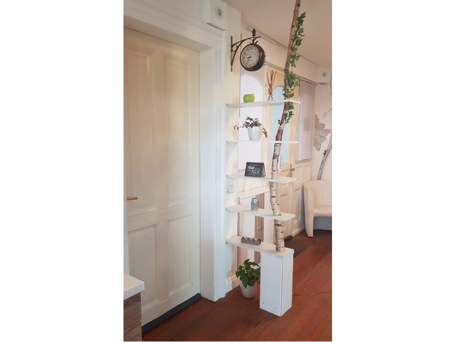 Regal mit Birkenstamm