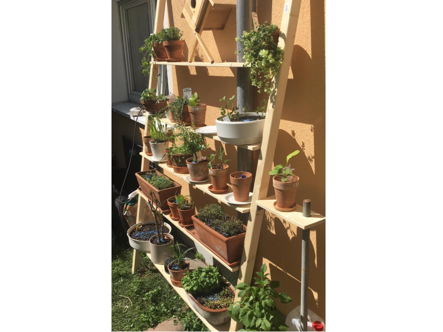 Ein hölzernes Pflanzenregal mit mehreren Ebenen voller Töpfe