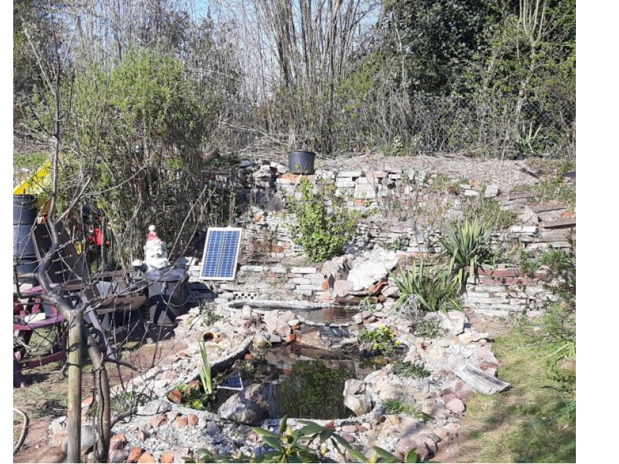 Teich im Garten mit Solarpanel