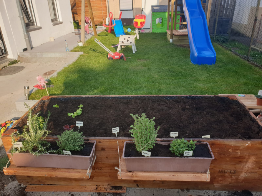 Hochbeet mit Kräutern im Garten