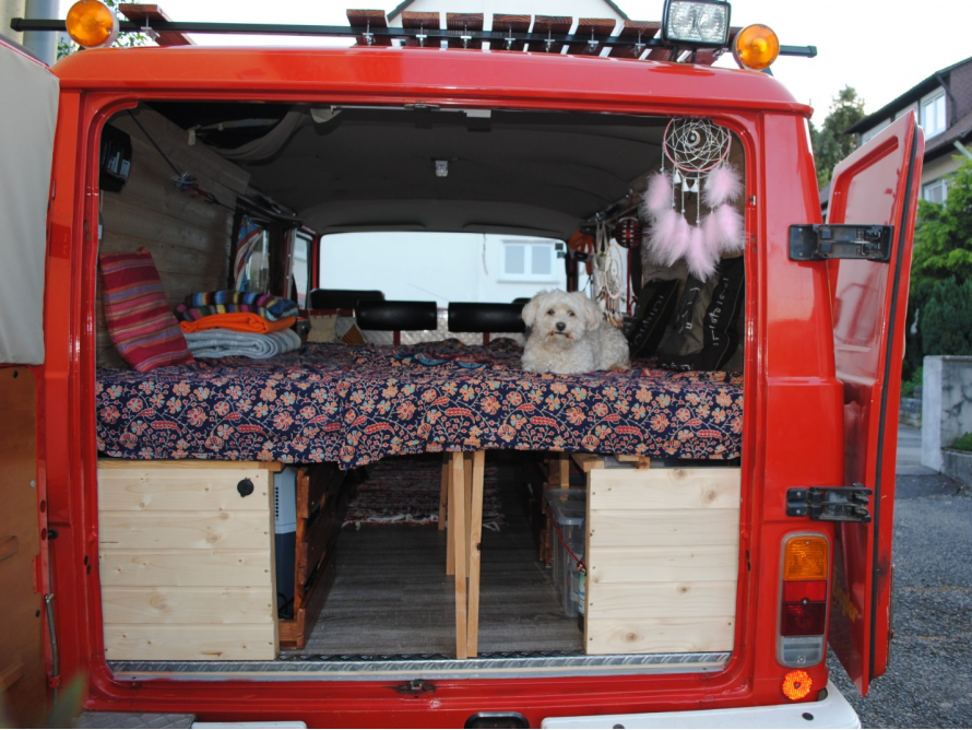 Ein Hund liegt im Bett eines zum Camper umgebauten Vans.