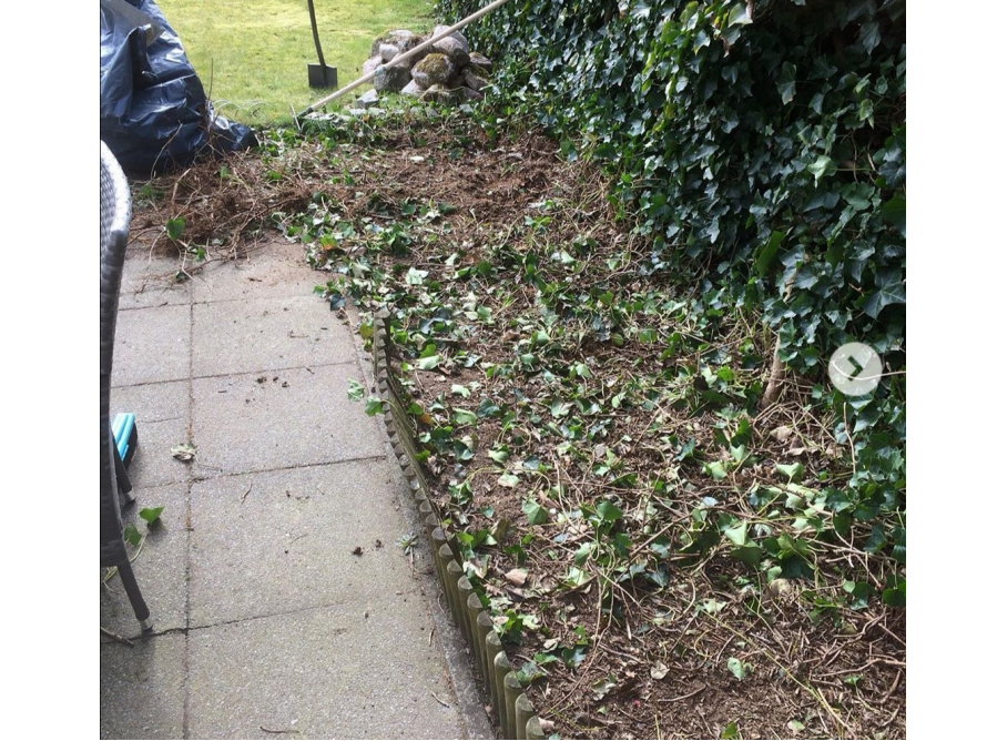 Gartenarbeit mit Rechen