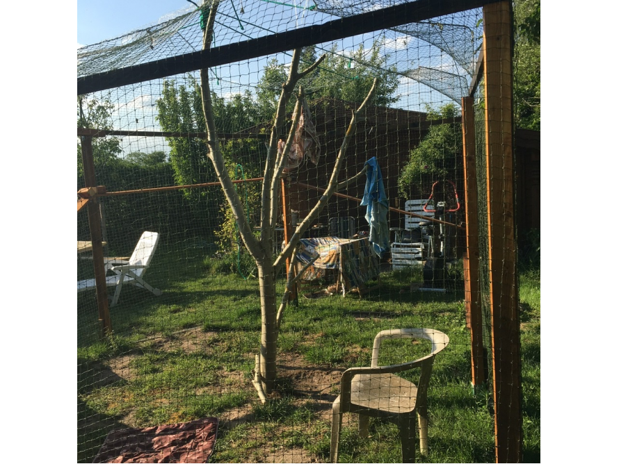 Garten mit einem Baum in einem Netzgehege