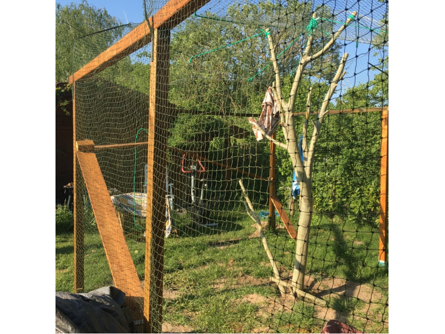 Ein Außenbereich für Katzen