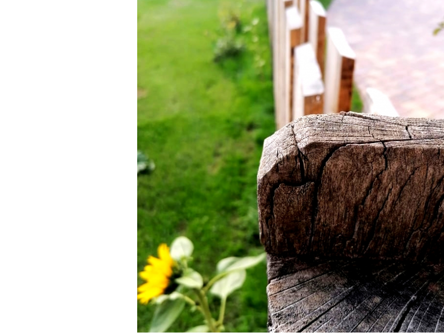 Verwittertes Holzelement im Garten