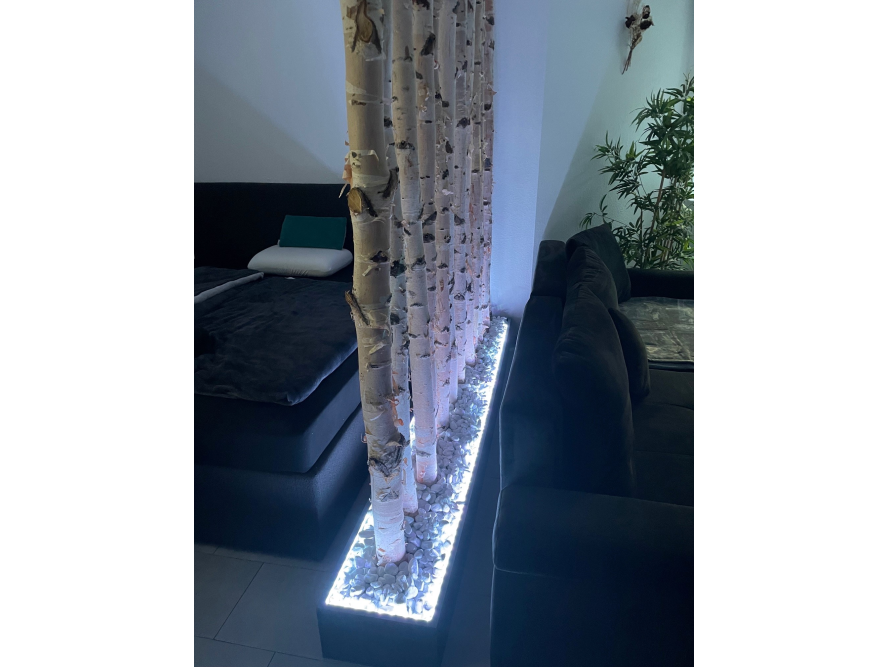 Birkenstämme als Raumteiler mit Beleuchtung