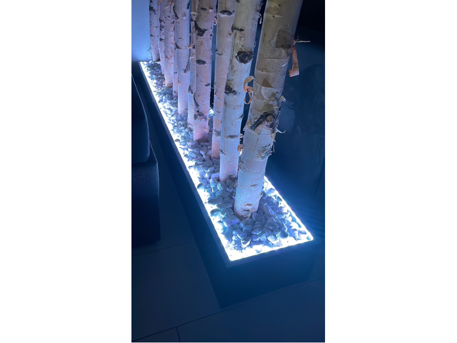 Birkenstämme in einem beleuchteten Kasten mit weißen Steinen