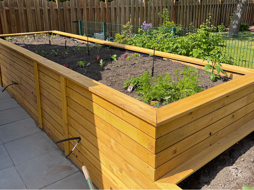 Holz-Hochbeet mit jungen Pflanzen