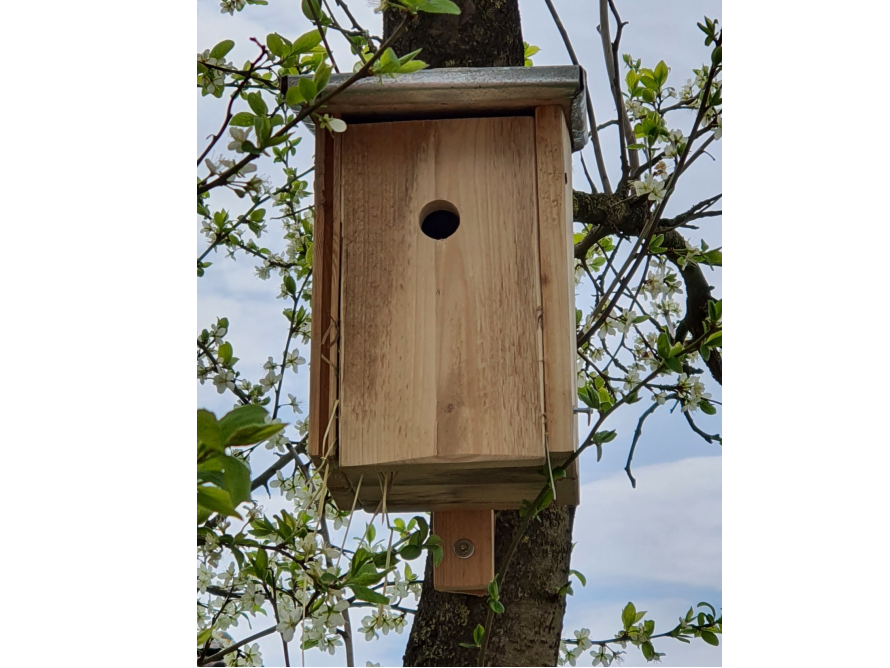 Hölzerner Nistkasten an einem Baum