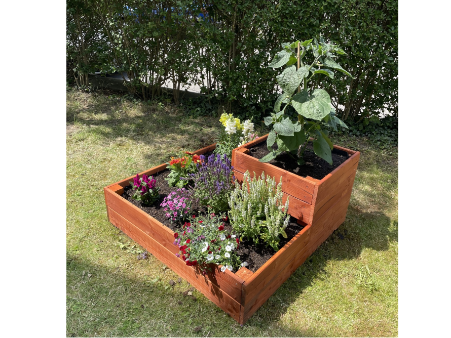 Holzbeet mit Blumen und Tomatenpflanze