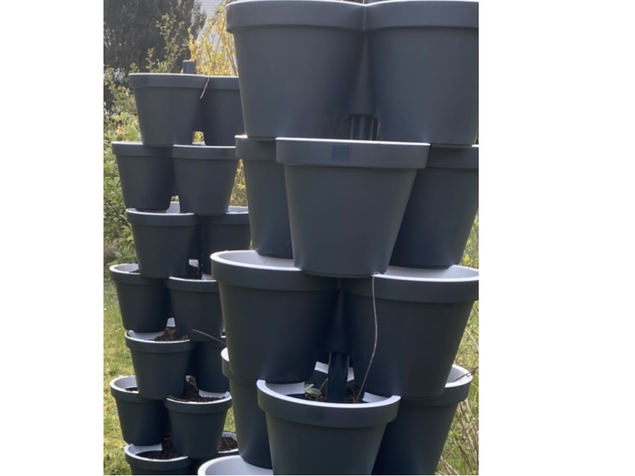 Vertikales System mit Blumentöpfen