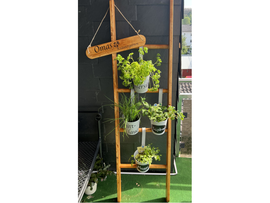 Kräutergarten auf einer alten Holzleiter