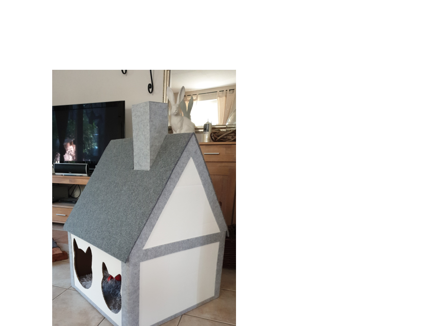 Katzenhaus in Form eines Hauses