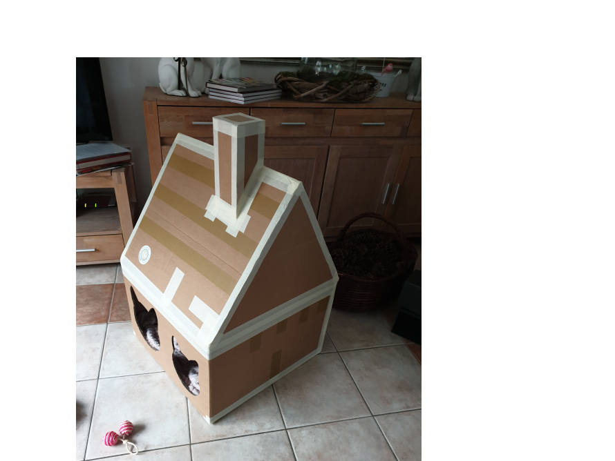 Katzenhaus aus Pappe