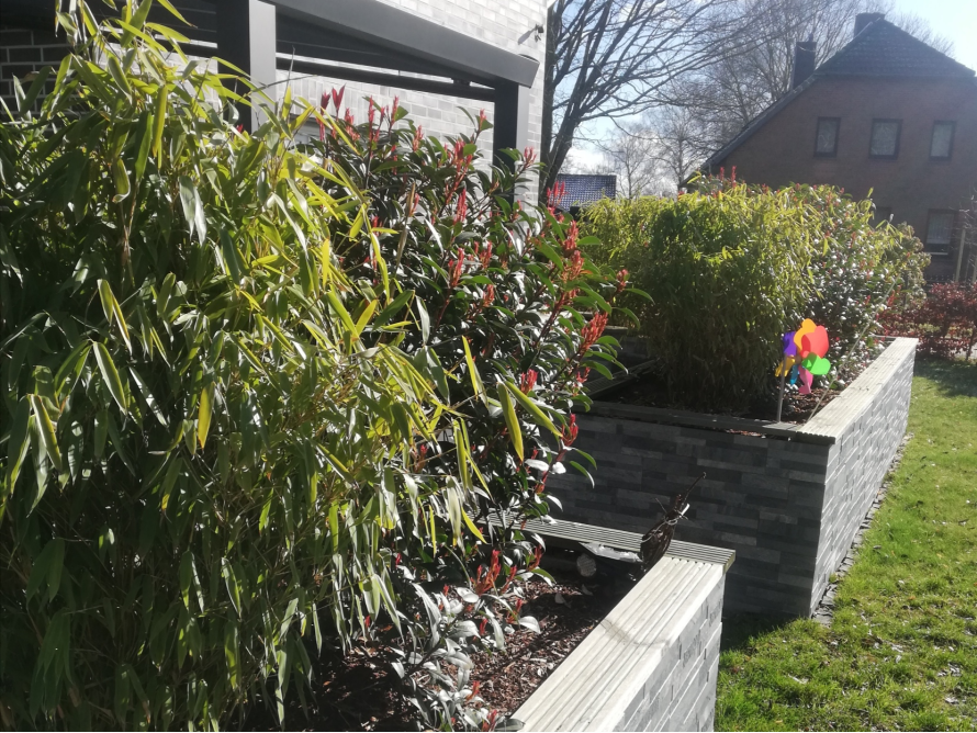 Garten mit Bambus und Windrad