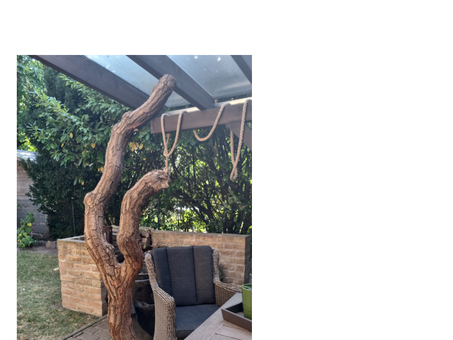 Rustikaler Natur-Kratzbaum