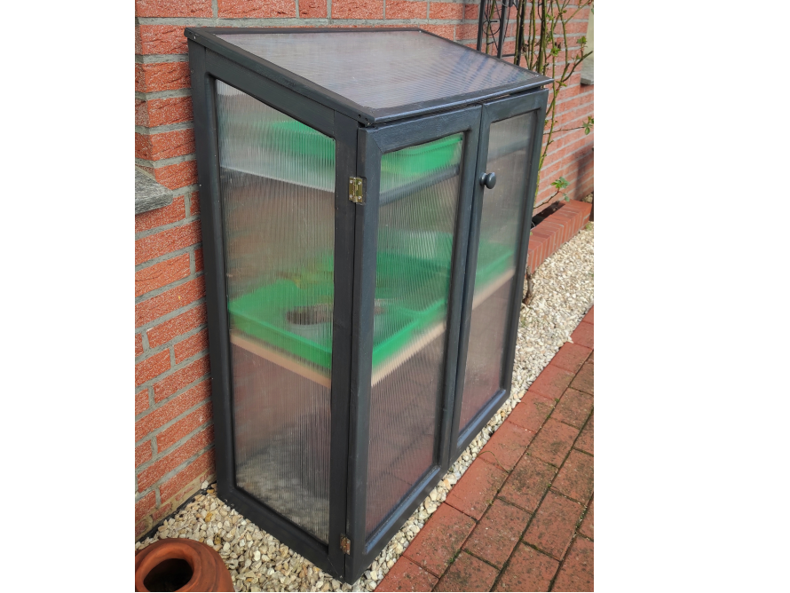 Kleines Gewächshaus aus Holz und Kunststoff