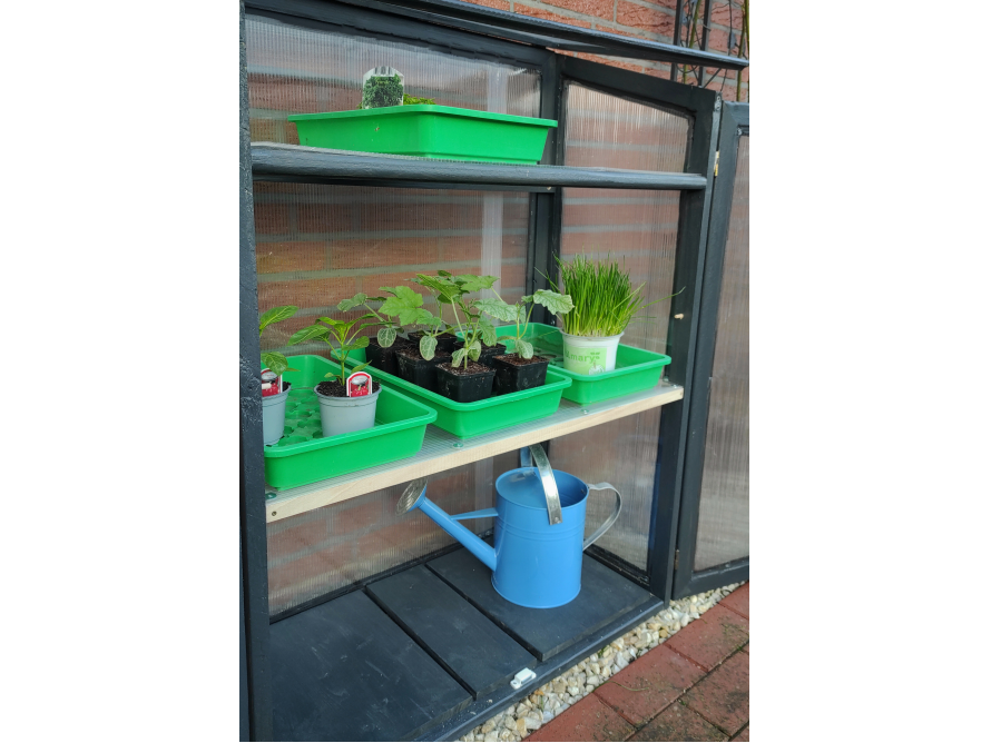 Kleines Gewächshaus mit Setzlingen und Gießkanne