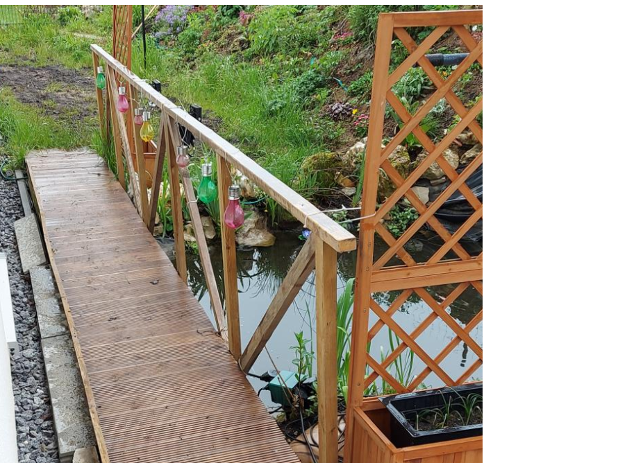 Holzsteg über einen Teich