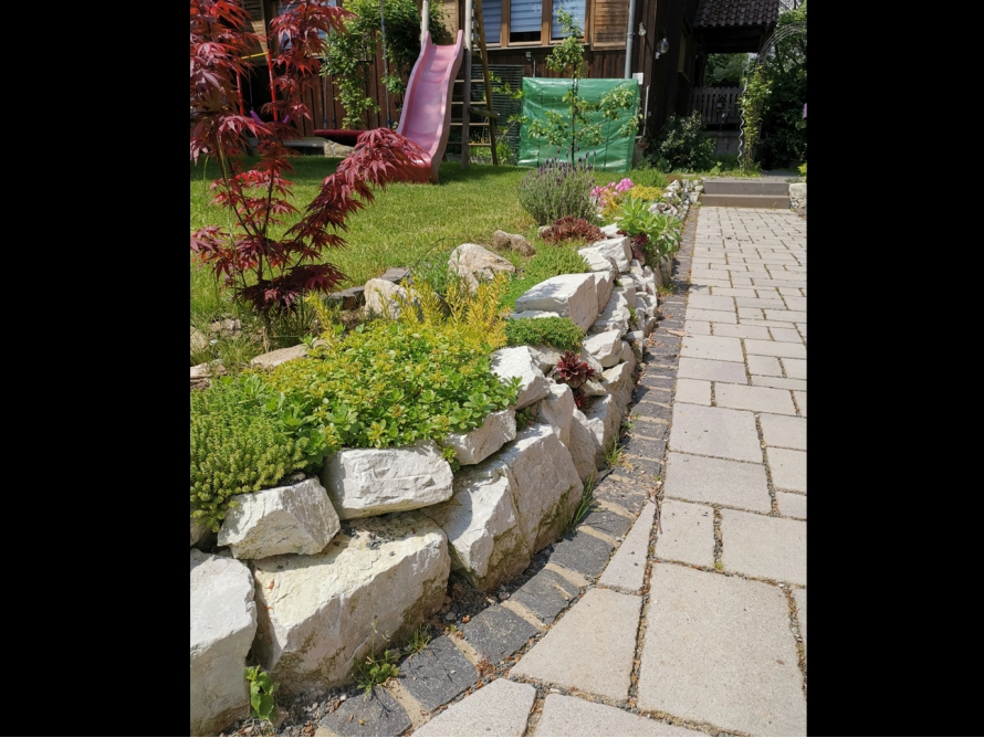 Steingarten mit blühenden Pflanzen