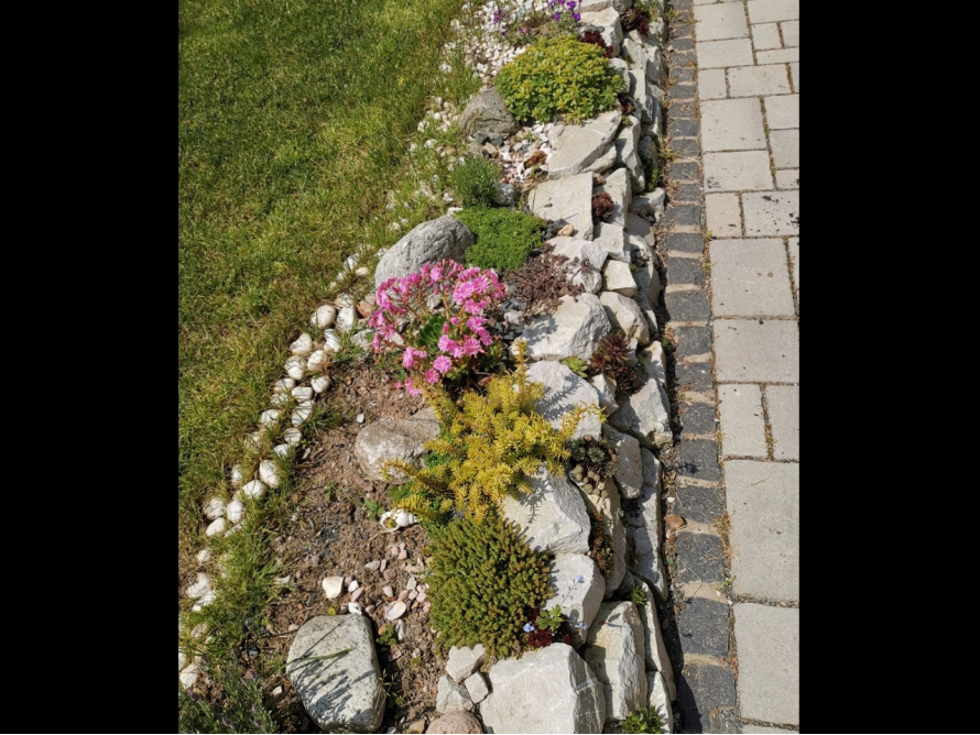 Steingarten mit blühenden Pflanzen