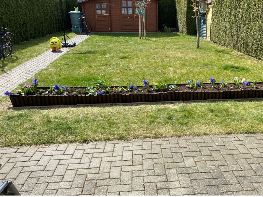 Hochbeet mit Hyazinthen