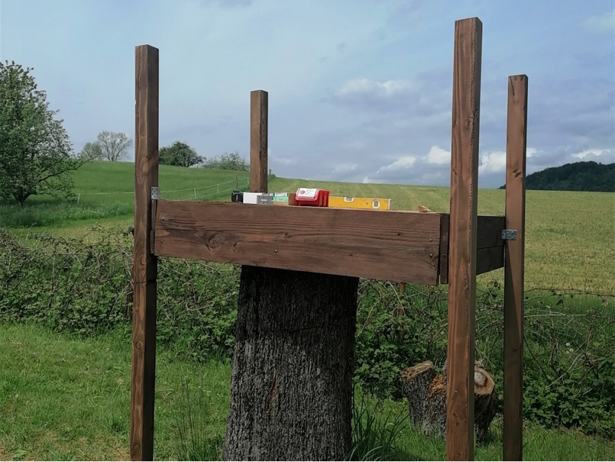 Holzgerüst auf einem Baumstumpf mit Wasserwaage