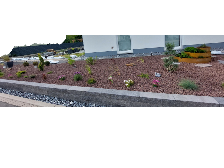 Neu angelegter Vorgarten mit Kies und Pflanzen