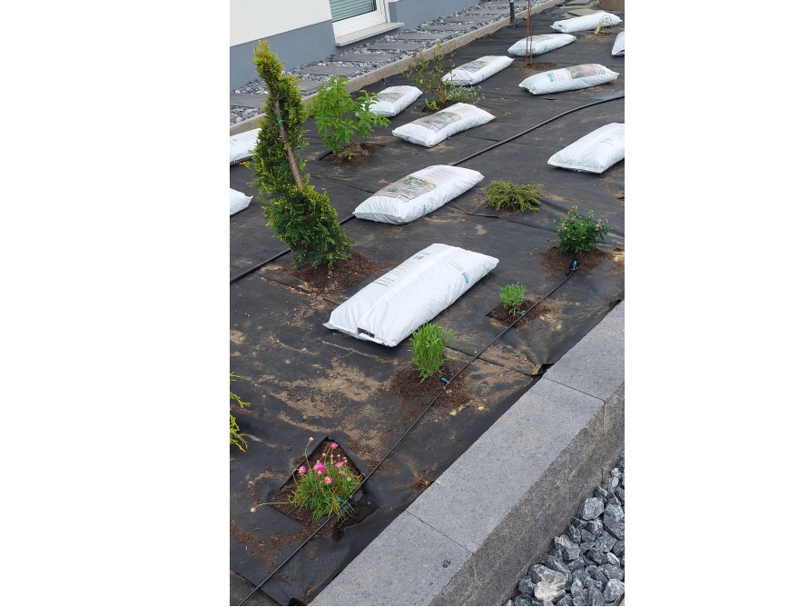 Gartenbeet mit jungen Pflanzen und Bewässerungssystem